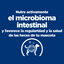 1 kg Hill's Prescription Diet Gastrointestinal Biome Mini pienso para perros, , large indicador imagen numero 7